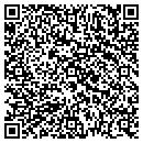 QR code with Public Storage contacts