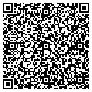 QR code with Clean Water Service contacts