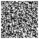 QR code with Purity Systems contacts