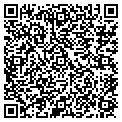 QR code with D Signs contacts