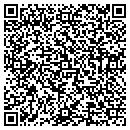 QR code with Clinton Cable TV Co contacts