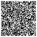 QR code with Professional Dynamics contacts