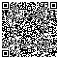QR code with Amsoil contacts
