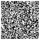 QR code with Plummer Consulting Inc contacts