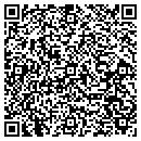 QR code with Carpet Professionals contacts