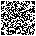 QR code with Anthem contacts