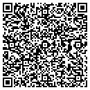QR code with Pushcode Inc contacts