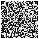 QR code with Premier Flooring Inc contacts