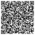 QR code with Signco contacts
