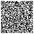 QR code with Cerutti's Automotion contacts
