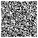 QR code with Bloemers Auto Clinic contacts