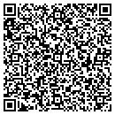QR code with Steffen Painting Inc contacts