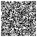 QR code with Public Service Ind contacts