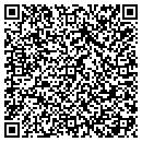 QR code with PSDJ Inc contacts