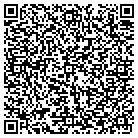 QR code with Professional Auto Detailing contacts