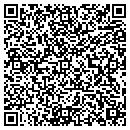 QR code with Premier Grill contacts