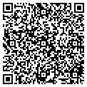 QR code with IBEW contacts