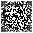 QR code with Capitol Small Engines contacts