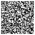 QR code with Pines contacts