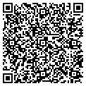 QR code with DFM Inc contacts
