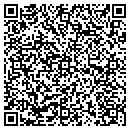 QR code with Precise Painting contacts