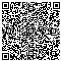 QR code with P Dice contacts