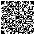 QR code with M Corp contacts