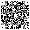 QR code with Progress Pump contacts
