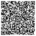 QR code with T Dark contacts