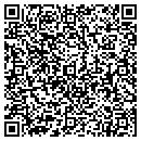 QR code with Pulse Music contacts