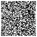 QR code with Bison Financial Group contacts