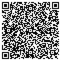 QR code with D Dice contacts