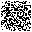QR code with Print Systems Inc contacts
