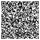 QR code with Premier Insurance contacts