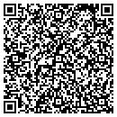 QR code with Process Systems Inc contacts