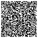 QR code with Premiere Satellite contacts