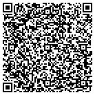 QR code with Pulaski County Library contacts