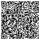 QR code with Public Image contacts