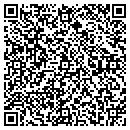 QR code with Print Placements Inc contacts