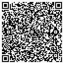 QR code with Carousel Tee's contacts