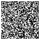 QR code with PRO Resources contacts