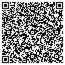 QR code with Concepts In Focus contacts