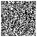 QR code with Pulse Finders contacts
