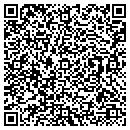 QR code with Public Works contacts