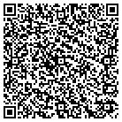 QR code with Blimpie Subs & Salads contacts