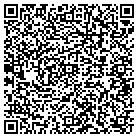QR code with Pulaski County Auditor contacts