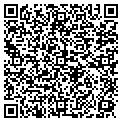 QR code with 31 Auto contacts