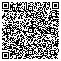 QR code with Soltek contacts