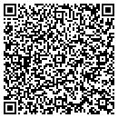 QR code with Carpet MAX Of Jasper contacts