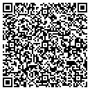 QR code with Professional Fab Inc contacts